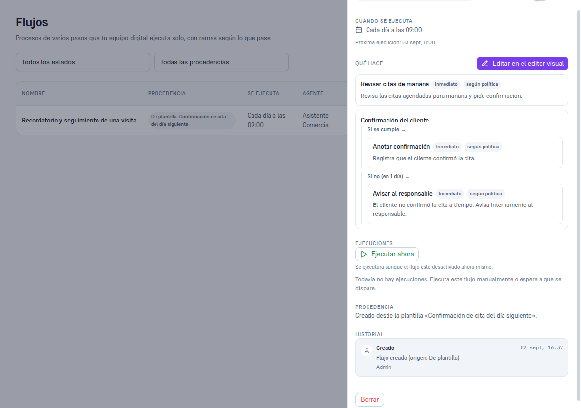 Ficha del flujo «Recordatorio y seguimiento de una visita» recién creado, con procedencia «De plantilla: Confirmación de cita del día siguiente», el interruptor de activo apagado, las secciones Cuándo se ejecuta, Qué hace con los 4 pasos y la rama Sí/No, Ejecuciones vacío, Procedencia e Historial